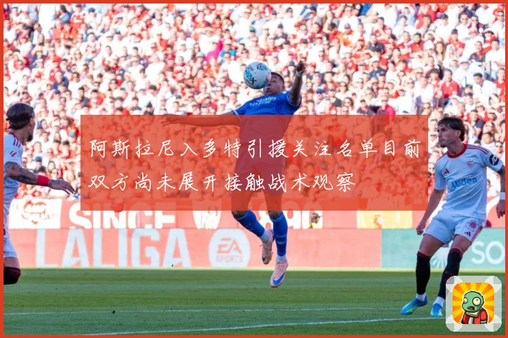 阿斯拉尼入多特引援关注名单目前双方尚未展开接触战术观察