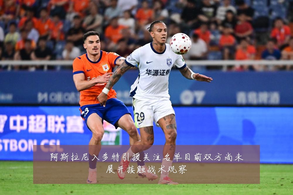 阿斯拉尼入多特引援关注名单目前双方尚未展开接触战术观察