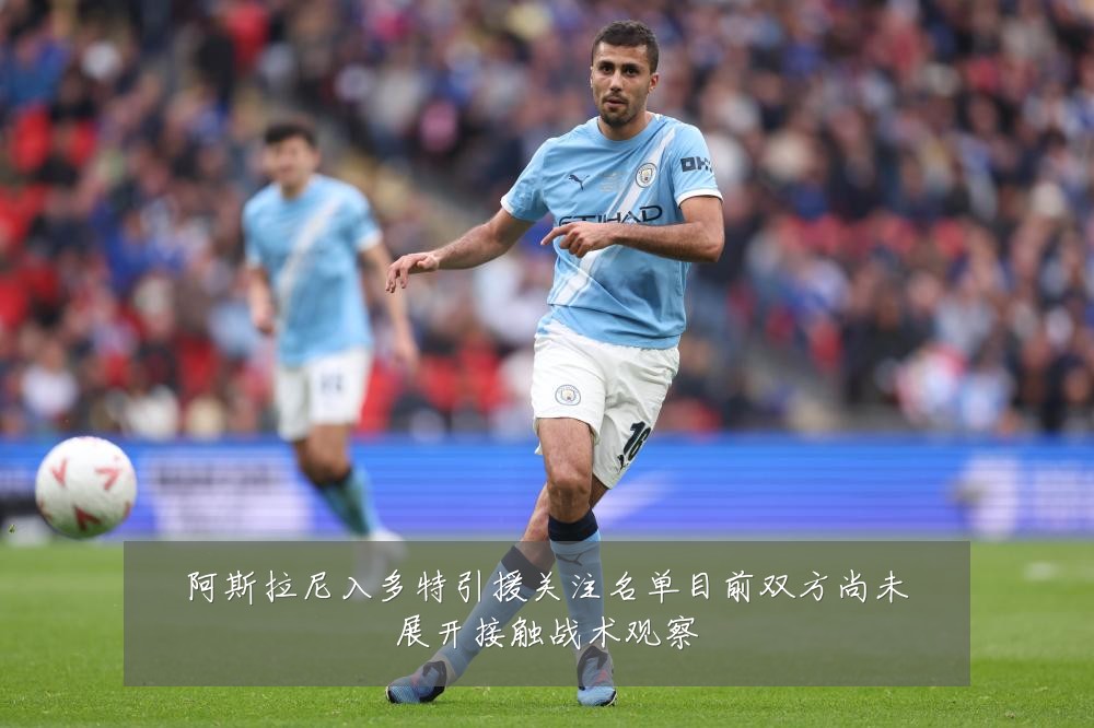 阿斯拉尼入多特引援关注名单目前双方尚未展开接触战术观察